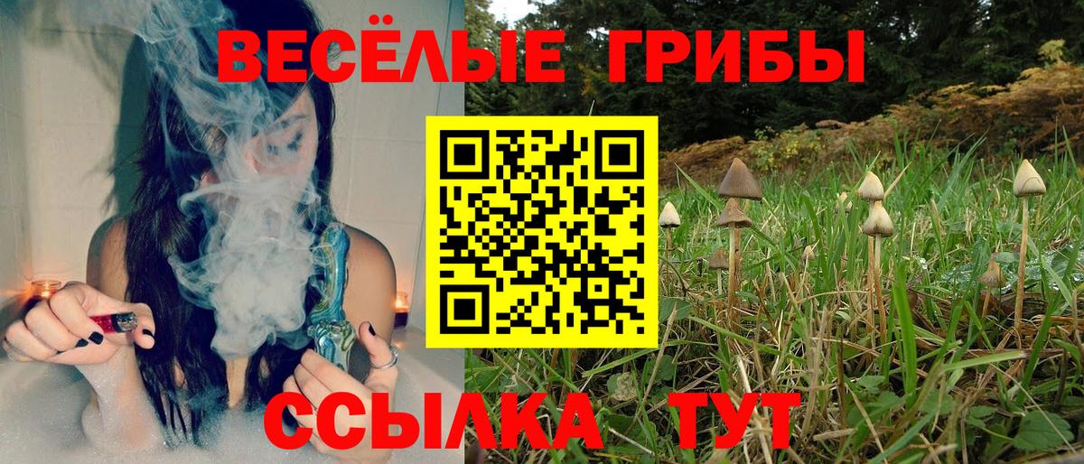 Псилоцибиновые грибы Psilocybe Усть-Илимск