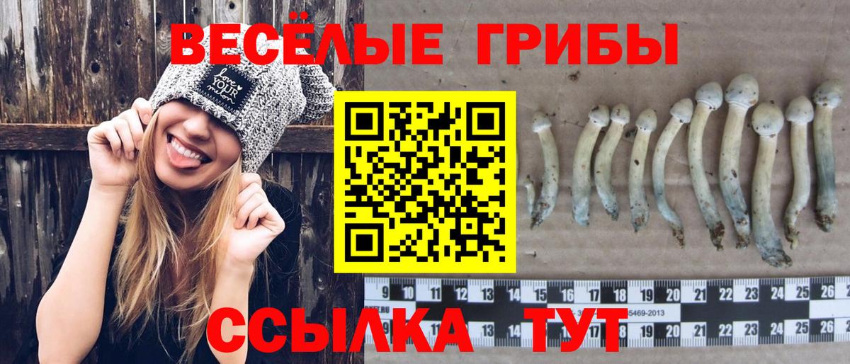 Усть-Илимск  Галлюциногенные грибы мицелий  Вход с VPN 